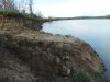 Дорога со стройки ведет прямо в русло Кубани, где образовался отвал грунта, загрязняющий реку